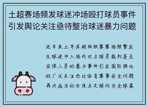土超赛场频发球迷冲场殴打球员事件引发舆论关注亟待整治球迷暴力问题 土超赛场频发球迷冲场殴打球员事件引发舆论关注亟待整治球迷暴力问题